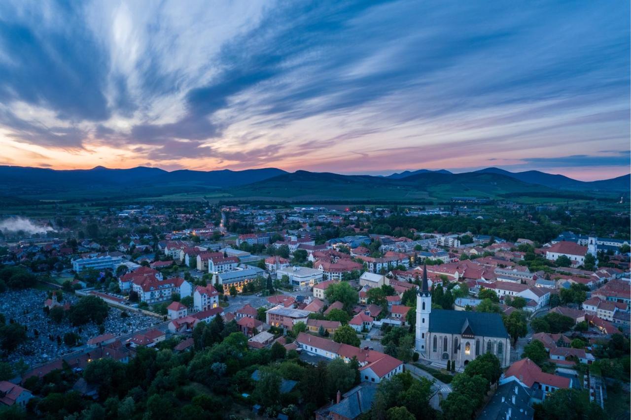 Hotel Bodrog Wellness & Elix Spa Sárospatak Exteriér fotografie