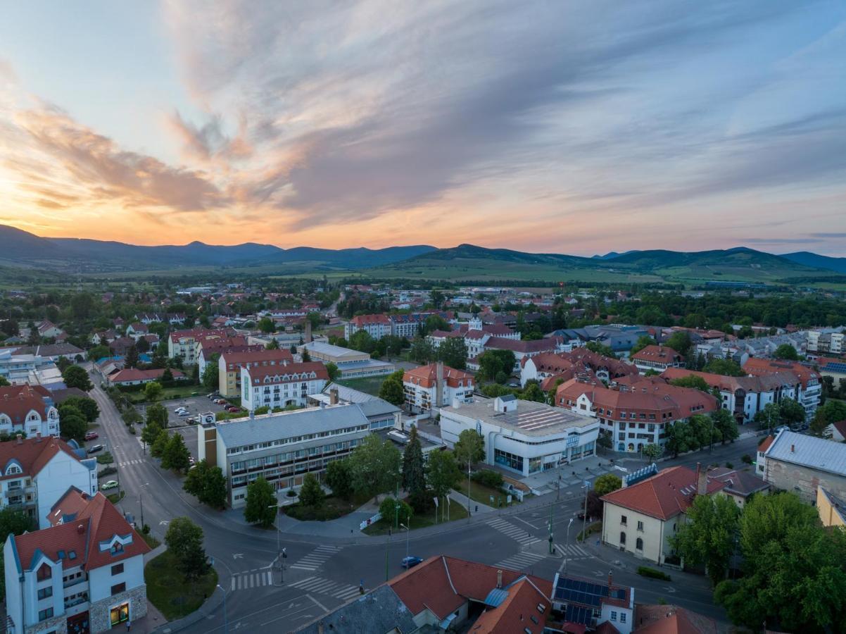 Hotel Bodrog Wellness & Elix Spa Sárospatak Exteriér fotografie