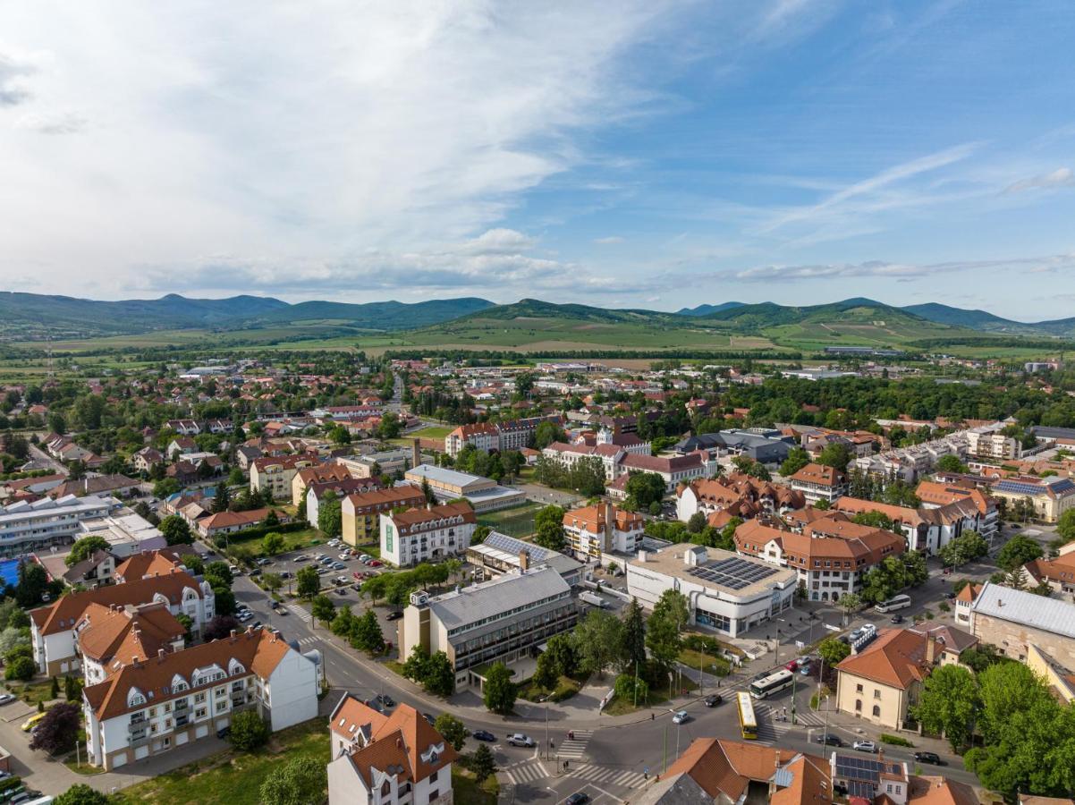 Hotel Bodrog Wellness & Elix Spa Sárospatak Exteriér fotografie